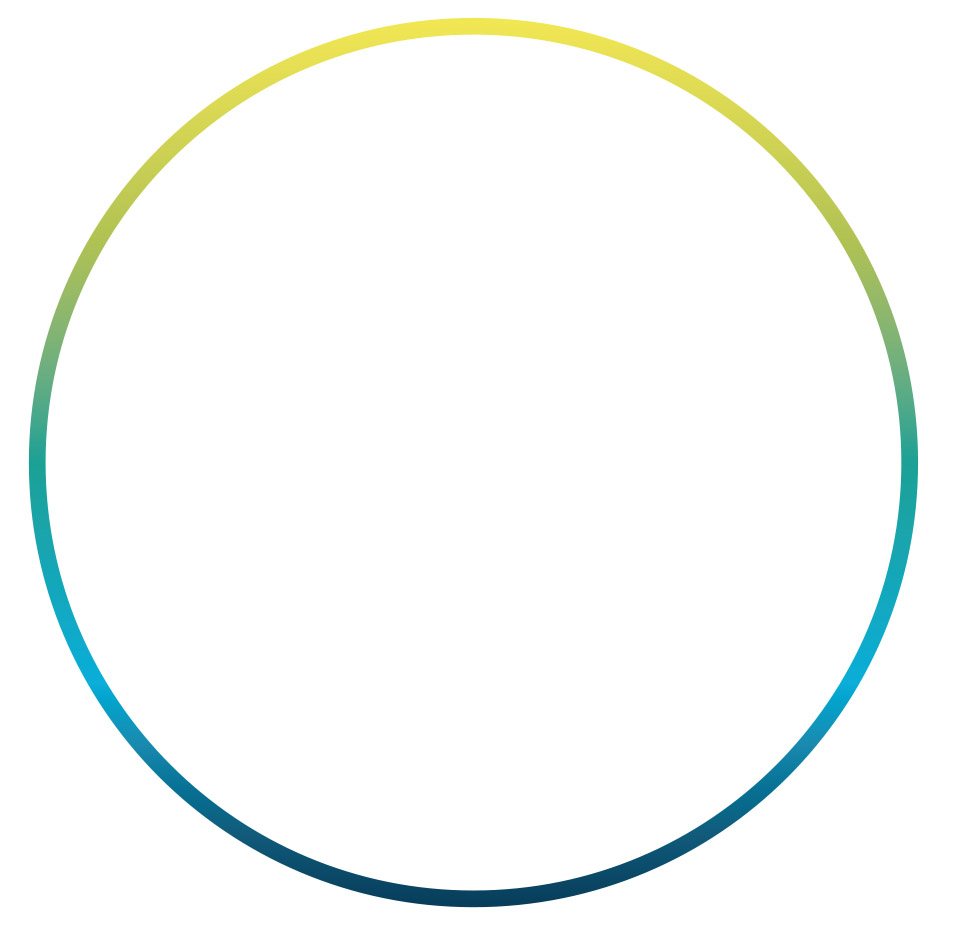 Kreis mit Farbverlauf der DS-Kardiothek